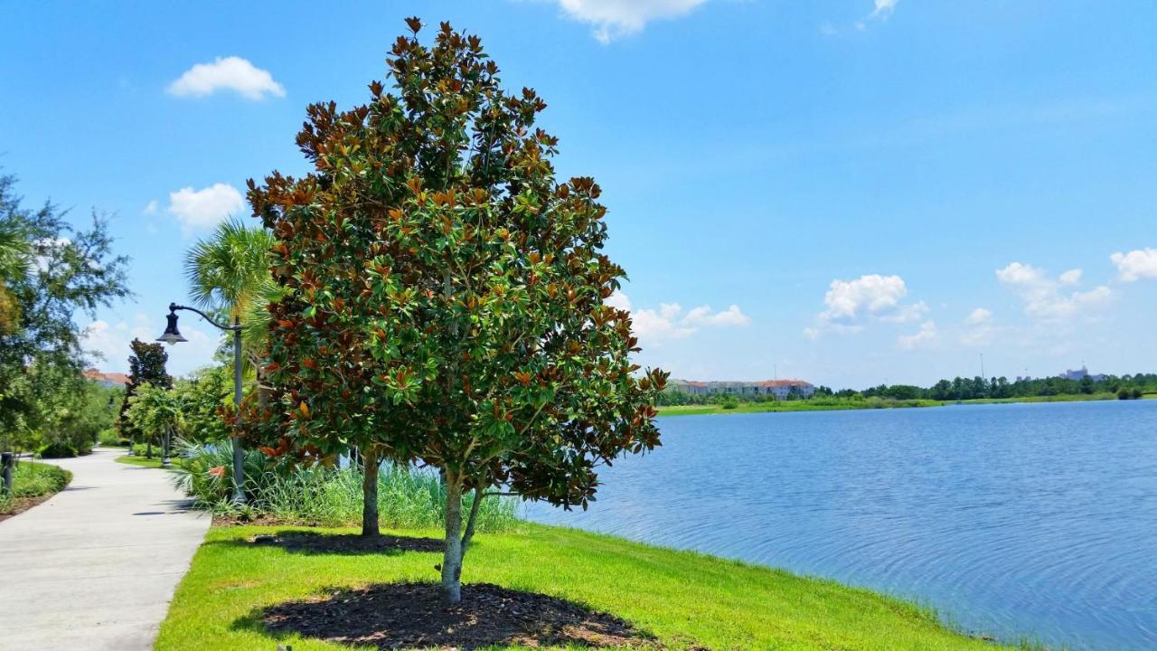 Newly Updated Condo W Scenic Resort View Orlando Bagian luar foto
